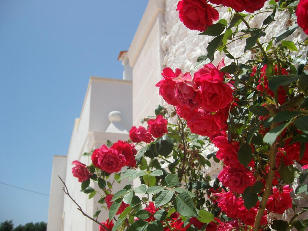 Masseria Nuova Guest House San Marzano di San Giuseppe Exterior photo