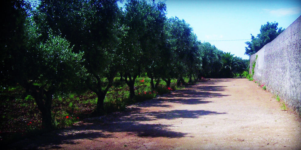 Masseria Nuova Guest House San Marzano di San Giuseppe Exterior photo